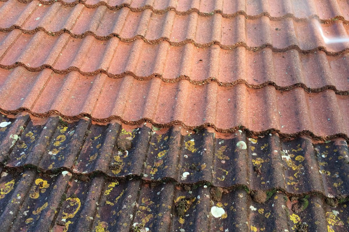 Roof Cleaning & Painting
