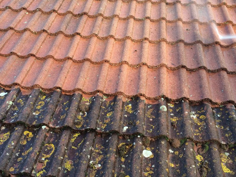 Roof Cleaning & Painting